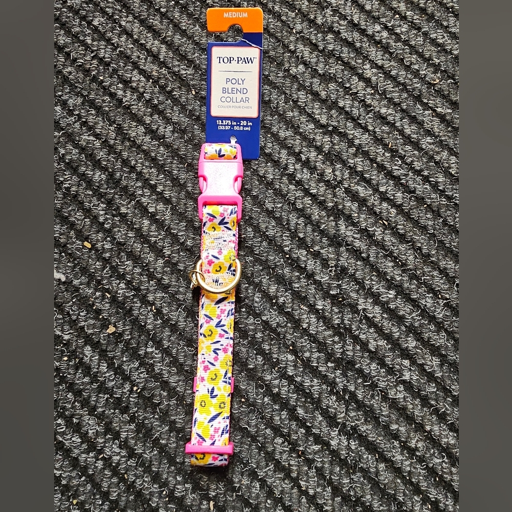 Colorful Collar
